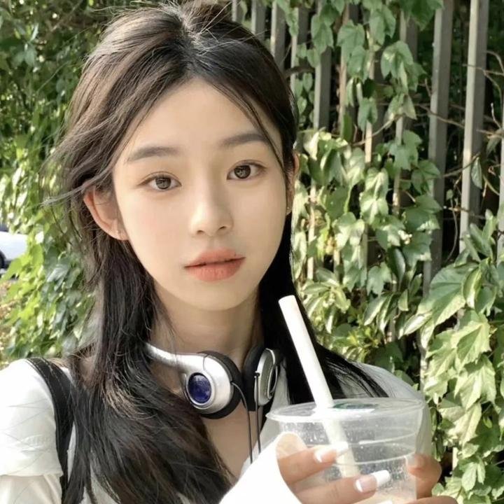 鸟之歌 バードソング