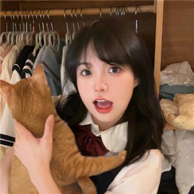 一条叫王子的狗